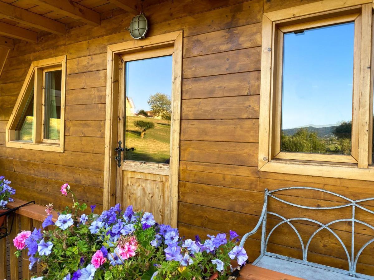 Апартаменты Agri Camp Dolomiti Беллуно Экстерьер фото