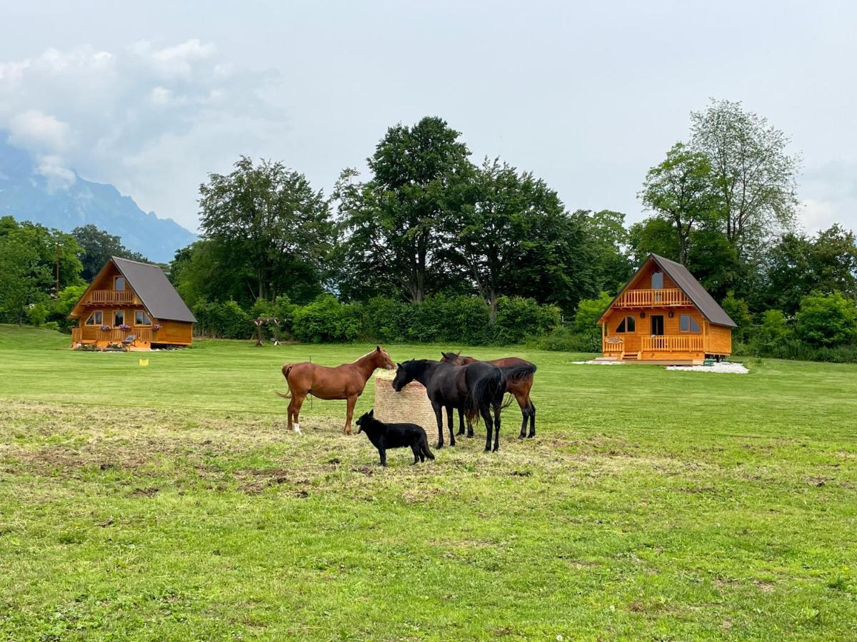 Апартаменты Agri Camp Dolomiti Беллуно Экстерьер фото