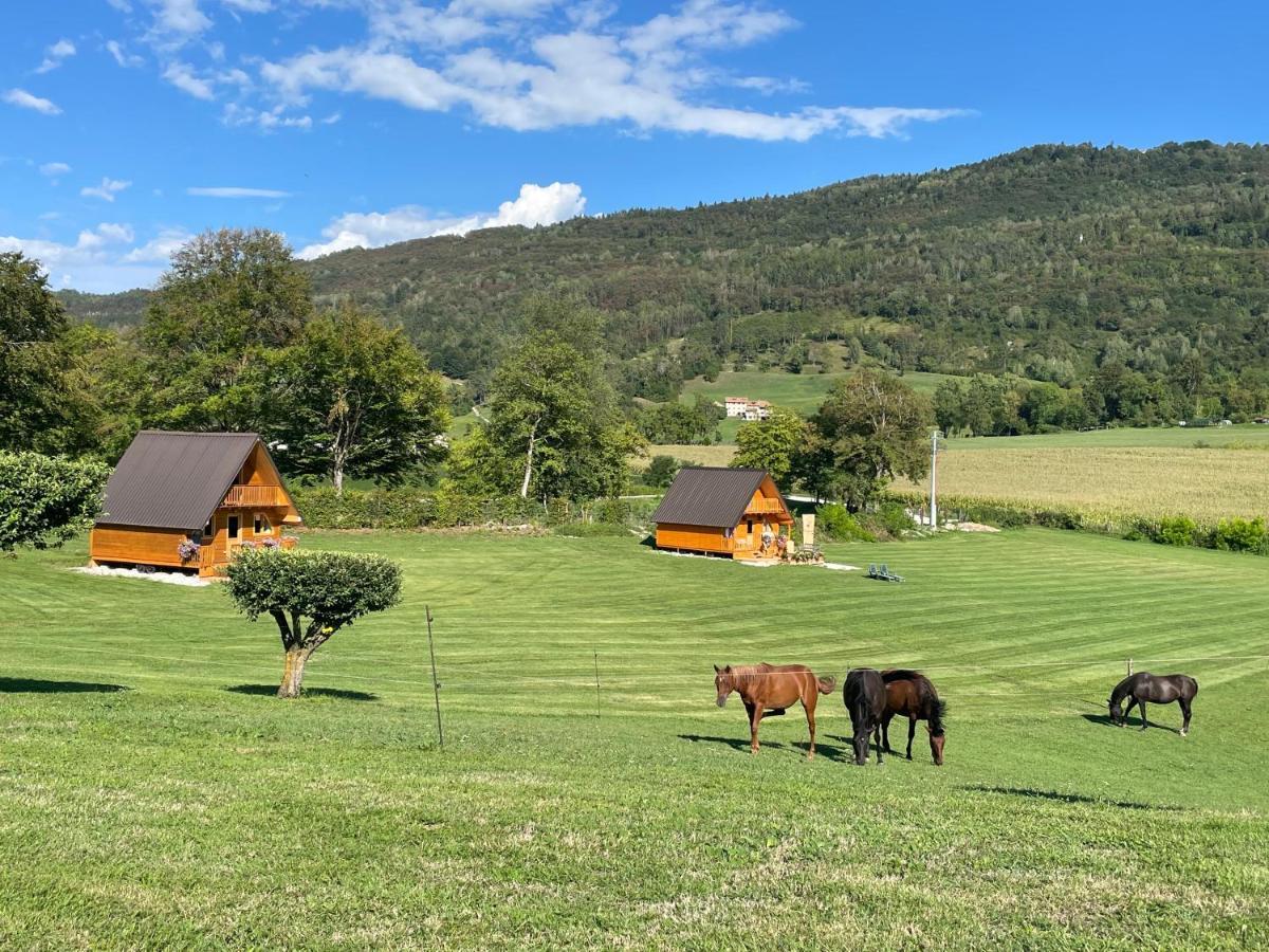 Апартаменты Agri Camp Dolomiti Беллуно Экстерьер фото