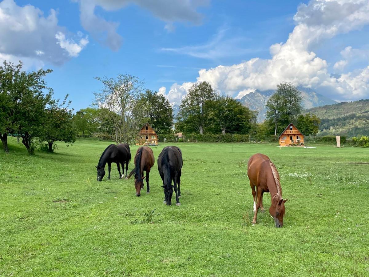 Апартаменты Agri Camp Dolomiti Беллуно Экстерьер фото