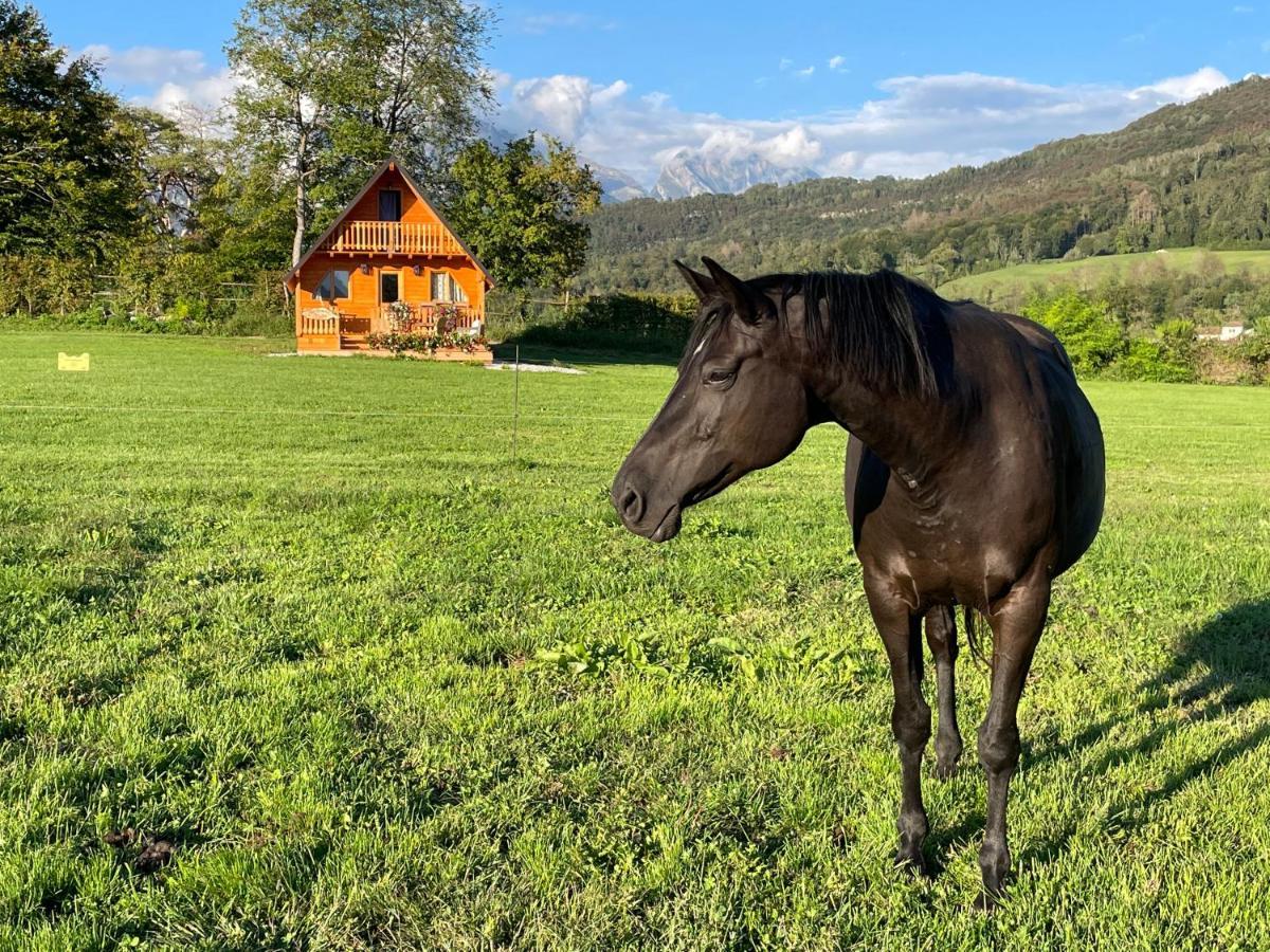 Апартаменты Agri Camp Dolomiti Беллуно Экстерьер фото