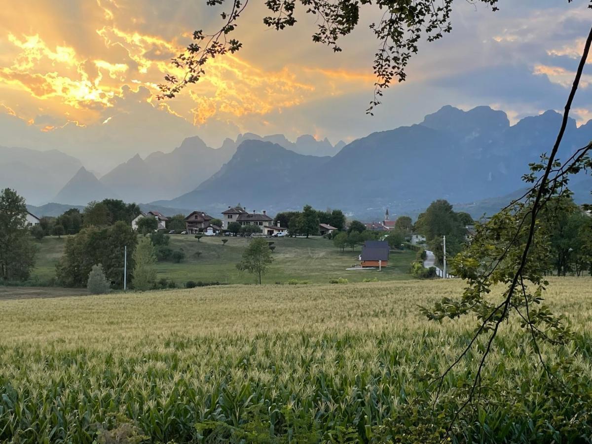 Апартаменты Agri Camp Dolomiti Беллуно Экстерьер фото