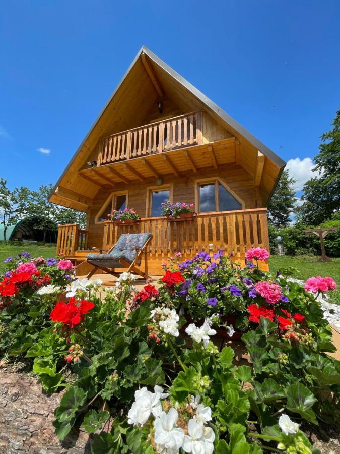 Апартаменты Agri Camp Dolomiti Беллуно Экстерьер фото