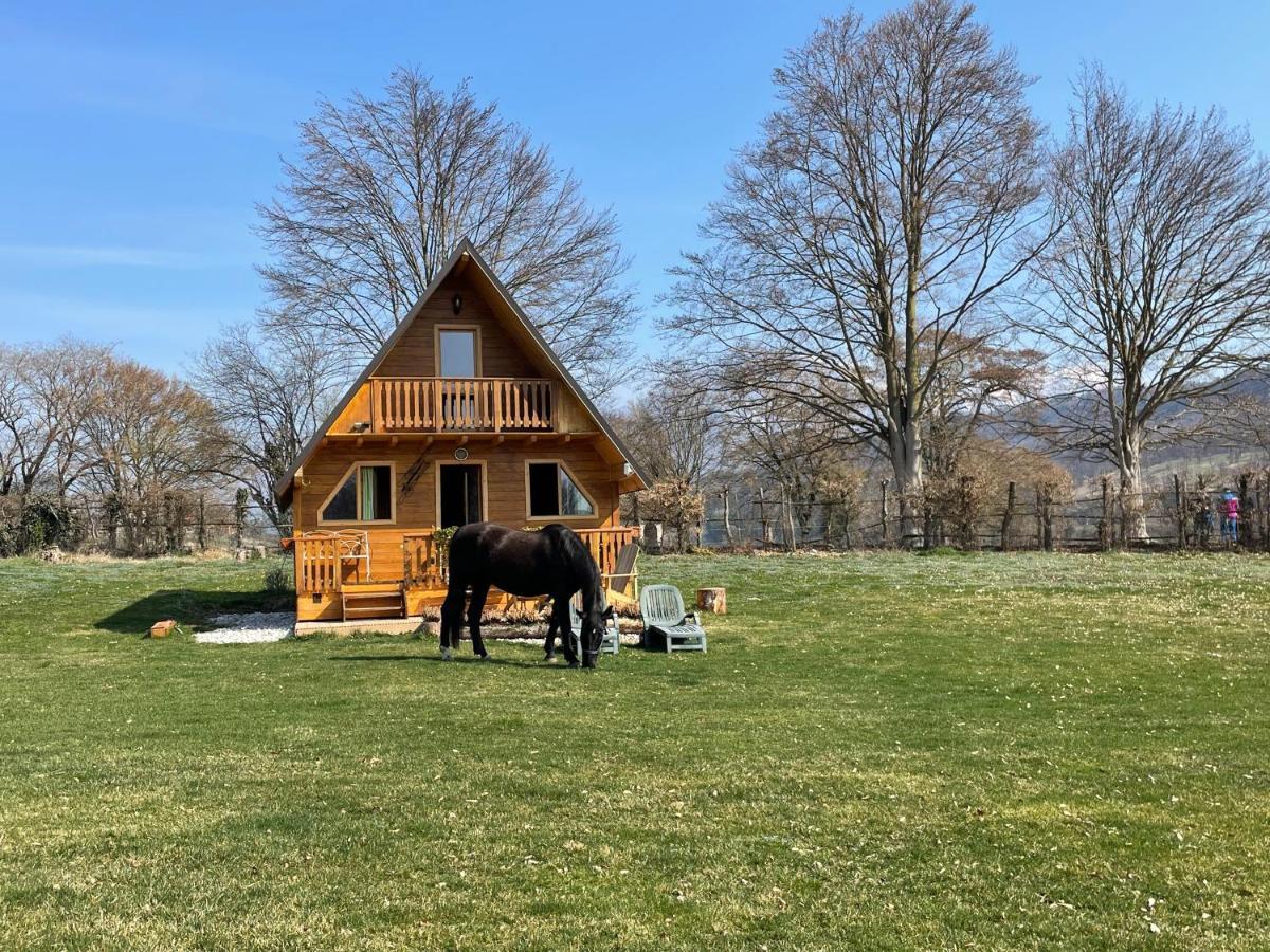 Апартаменты Agri Camp Dolomiti Беллуно Экстерьер фото