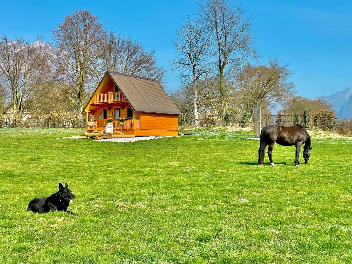 Апартаменты Agri Camp Dolomiti Беллуно Экстерьер фото