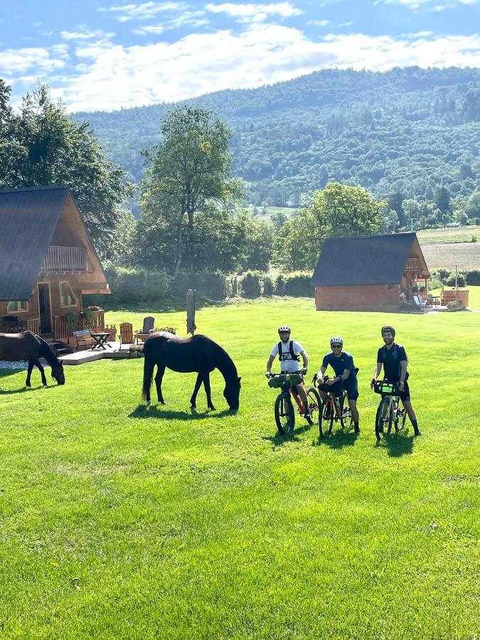 Апартаменты Agri Camp Dolomiti Беллуно Экстерьер фото